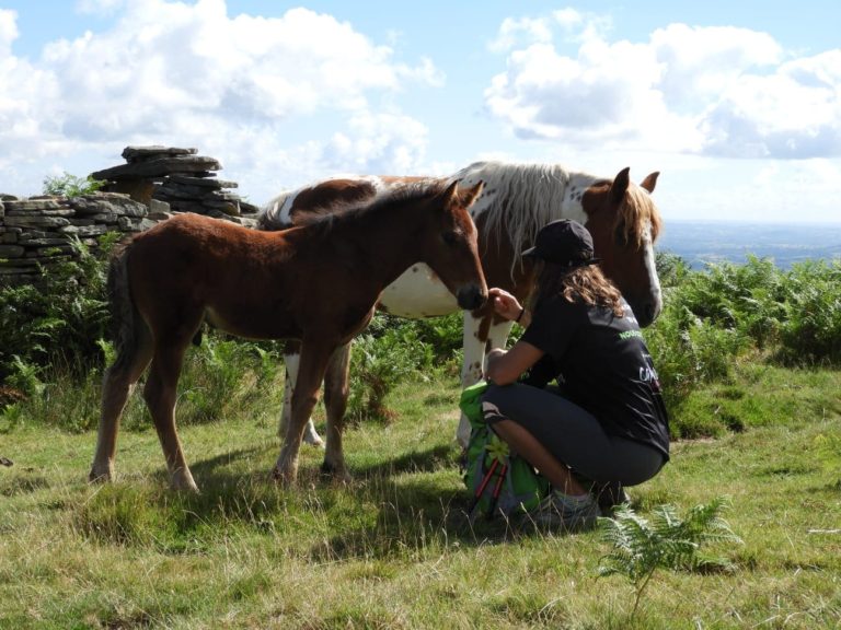 Famille Pottock - Laeti'tes Balades Pays Basque