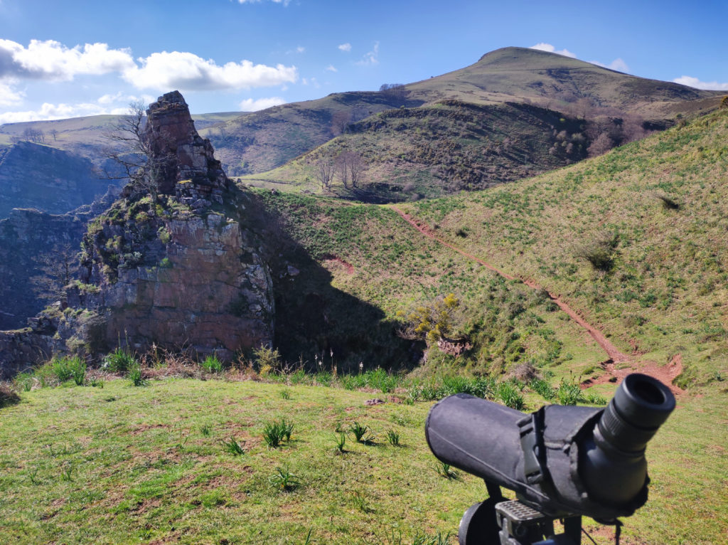 Observation des vautours fauves - Laeti'tes Balades Pays Basque