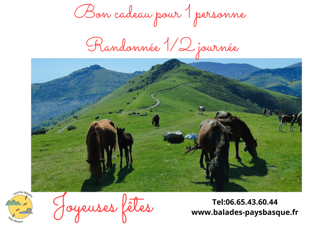 Copie de Ajouter un titre2 - Laeti'tes Balades Pays Basque